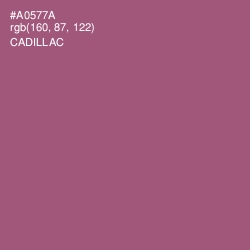 #A0577A - Cadillac Color Image