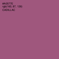 #A0577E - Cadillac Color Image