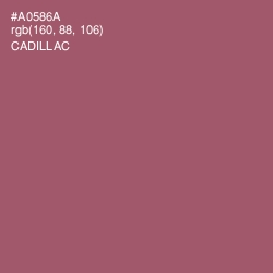 #A0586A - Cadillac Color Image