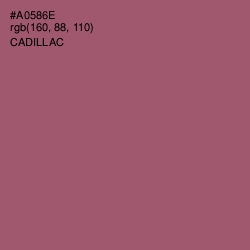 #A0586E - Cadillac Color Image