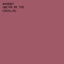 #A05967 - Cadillac Color Image