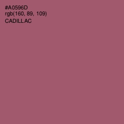 #A0596D - Cadillac Color Image