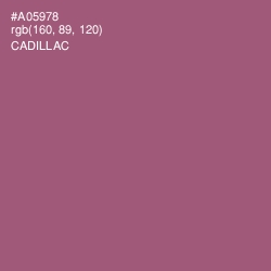 #A05978 - Cadillac Color Image