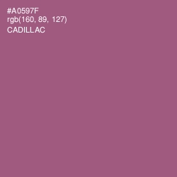 #A0597F - Cadillac Color Image