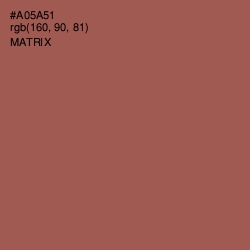 #A05A51 - Matrix Color Image