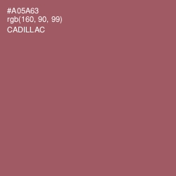 #A05A63 - Cadillac Color Image