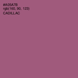 #A05A7B - Cadillac Color Image