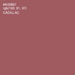 #A05B61 - Cadillac Color Image