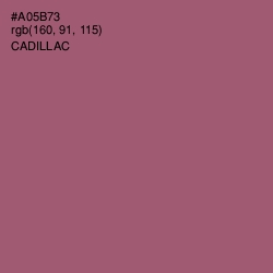 #A05B73 - Cadillac Color Image