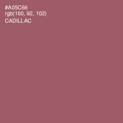 #A05C66 - Cadillac Color Image