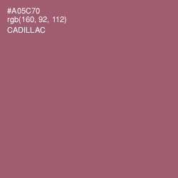 #A05C70 - Cadillac Color Image