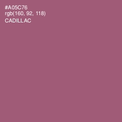 #A05C76 - Cadillac Color Image