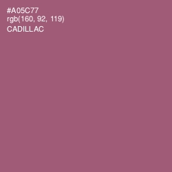 #A05C77 - Cadillac Color Image