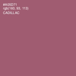 #A05D71 - Cadillac Color Image