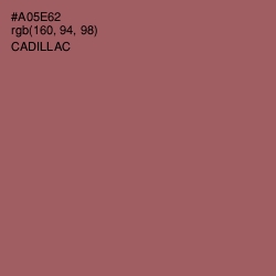 #A05E62 - Cadillac Color Image