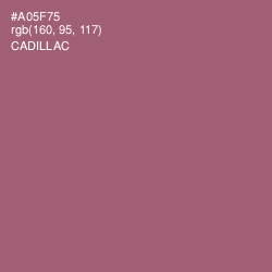 #A05F75 - Cadillac Color Image