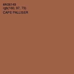 #A06149 - Cape Palliser Color Image