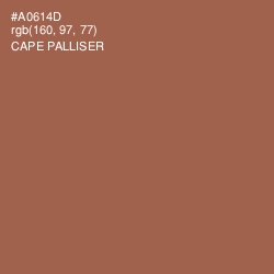 #A0614D - Cape Palliser Color Image