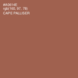 #A0614E - Cape Palliser Color Image