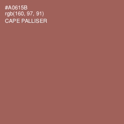 #A0615B - Cape Palliser Color Image