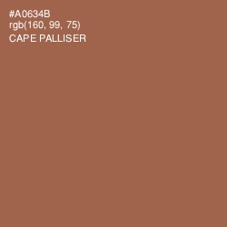 #A0634B - Cape Palliser Color Image