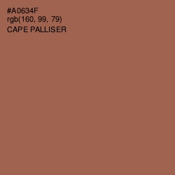 #A0634F - Cape Palliser Color Image