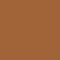 #A06438 - Desert Color Image