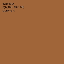 #A0663A - Copper Color Image