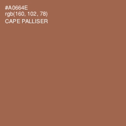 #A0664E - Cape Palliser Color Image