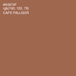 #A0674F - Cape Palliser Color Image