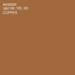 #A0693E - Copper Color Image