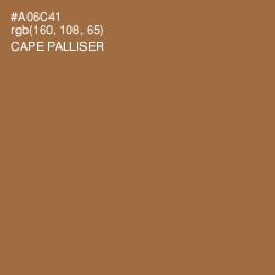 #A06C41 - Cape Palliser Color Image