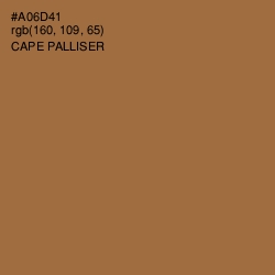 #A06D41 - Cape Palliser Color Image