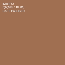#A06E51 - Cape Palliser Color Image