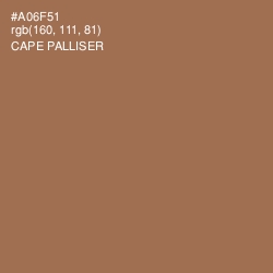 #A06F51 - Cape Palliser Color Image