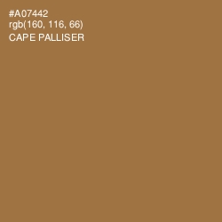 #A07442 - Cape Palliser Color Image