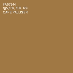 #A07844 - Cape Palliser Color Image