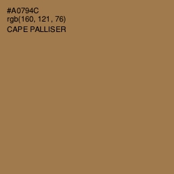 #A0794C - Cape Palliser Color Image