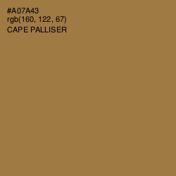 #A07A43 - Cape Palliser Color Image