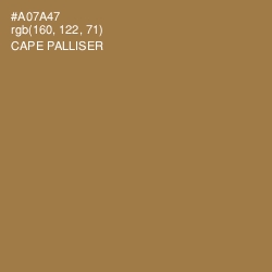 #A07A47 - Cape Palliser Color Image