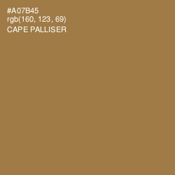 #A07B45 - Cape Palliser Color Image