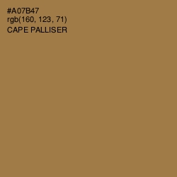 #A07B47 - Cape Palliser Color Image