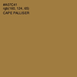 #A07C41 - Cape Palliser Color Image