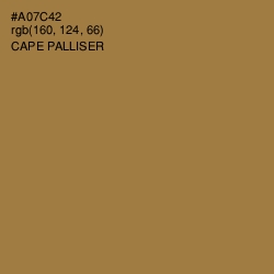 #A07C42 - Cape Palliser Color Image