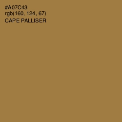 #A07C43 - Cape Palliser Color Image