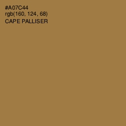 #A07C44 - Cape Palliser Color Image