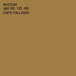 #A07D45 - Cape Palliser Color Image