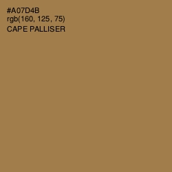 #A07D4B - Cape Palliser Color Image