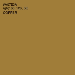 #A07E3A - Copper Color Image