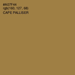 #A07F44 - Cape Palliser Color Image